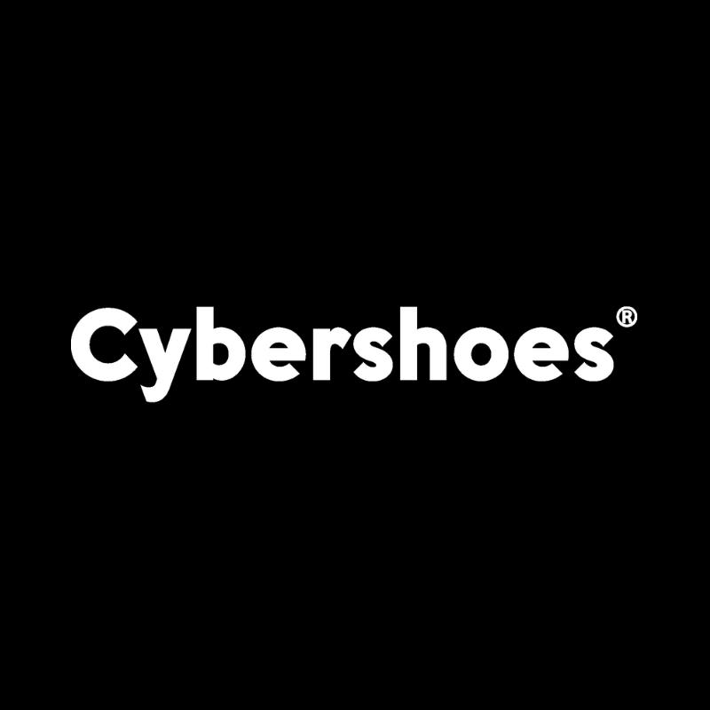 Cybershoes are foot controllers for motion-intensive VR games, translating body movement to in-game locomotion and reducing motion sickness.