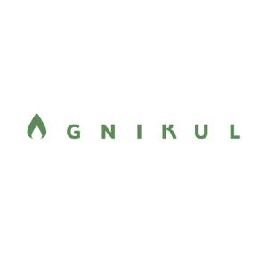 AgniKul Cosmos specializes in the aerospace sector, engaging in the design, production, testing, and launch of orbital-grade rockets.