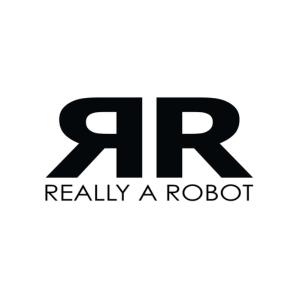 Really A Robots specializes in developing software and hardware solutions aimed at shaping a brighter future for all.