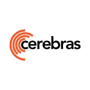 Cerebras Systems is a technology company that builds computer systems for artificial intelligence (AI) deep learning applications.