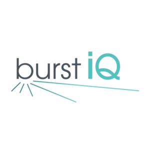 BurstIQ is a company focused on data management, particularly in the healthcare industry using blockchain technology.