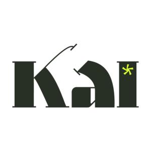 KAI is a technology company focused on leveraging artificial intelligence (AI) to enhance personal well-being and mental health.