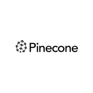 Pinecone is a serverless vector database designed to facilitate the development of artificial intelligence (AI) applications.