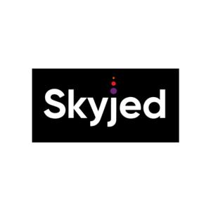 Skyjed is a project management platform that helps companies manage and optimize their product portfolios.