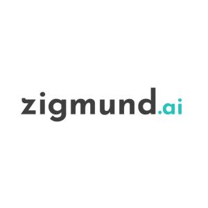 Zigmund.ai is a company that offers an AI-powered software as a service (SaaS) platform to businesses in the B2B market.