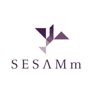 SESAMm is an artificial intelligence company that helps businesses make faster, more informed decisions by analyzing large amounts of data.