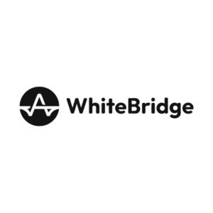 WhiteBridge is an innovative platform that utilizes artificial intelligence (AI) to consolidate and analyze data from numerous public sources.