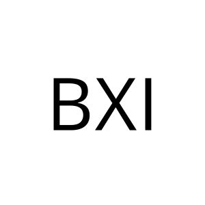 BXI Robotics is a technology company that specializes in developing bipedal intelligent robots for research and development purposes.