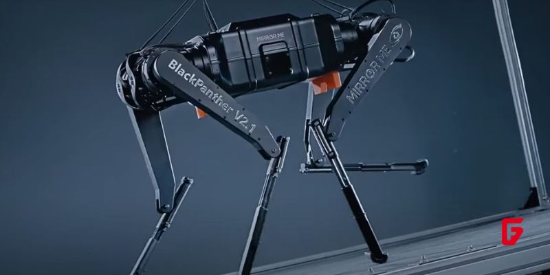 Chinese robot dog Black Panther reaches 10.3 m/s, nearly matching Usain Bolt’s speed and setting a new world record for robotic dogs.