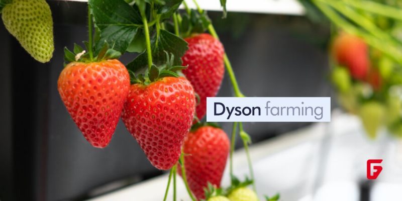 Discover how Dyson’s vertical strawberry farm uses robotics and engineering to boost yields, sustainability, and quality in UK agriculture.