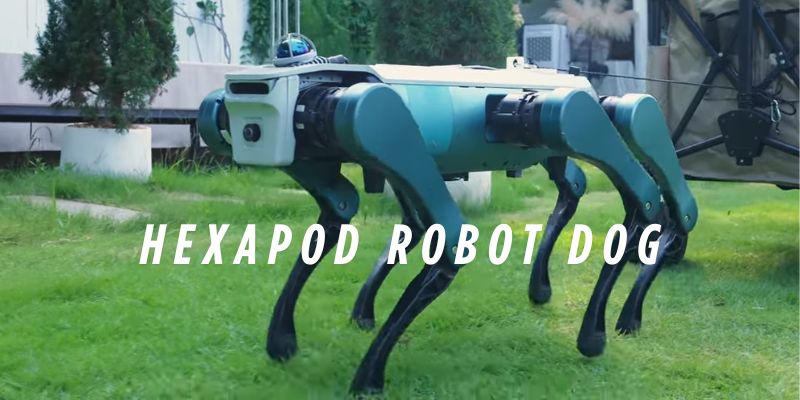 Discover Hexplorer, Dobot’s six-legged robot dog designed for stability, heavy payloads, and silent mobility on rugged terrain.