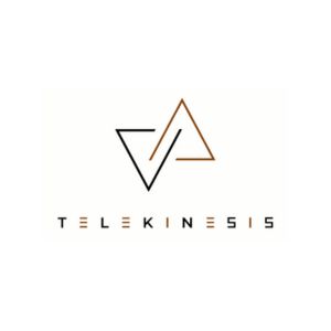 Telekinesis builds AI software that lets anyone program robots without code by watching videos or demos. It handles industrial tasks like metal manufacturing and assembly.